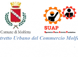 Logo Suap e distretto urbano commercio 1