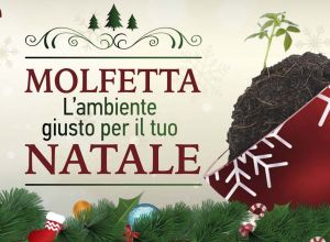 Natale 2014