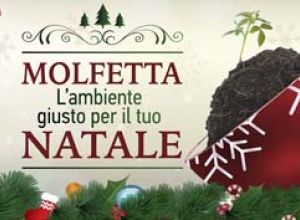 Natale 2014 testata