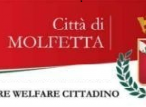 Settore welfare ridefinito 2