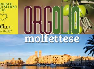 allestimento oliocapitale trieste