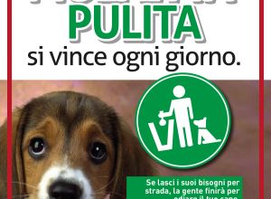 campagna feci canine 1