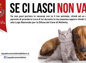 campagna noabbandono3