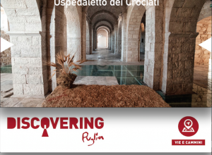 discovery molfetta