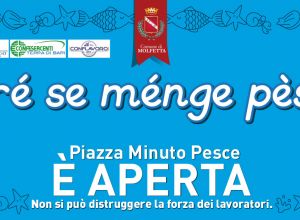 grafica minuto pesce