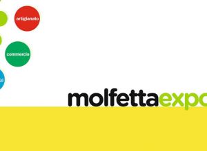 molfettaexport copia