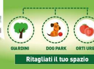 piano verde immagine