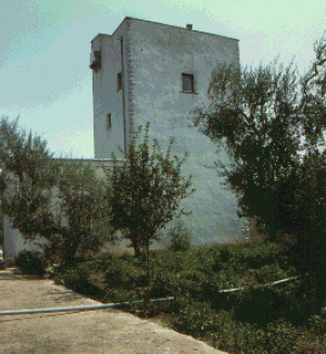 Torre Cicaloria