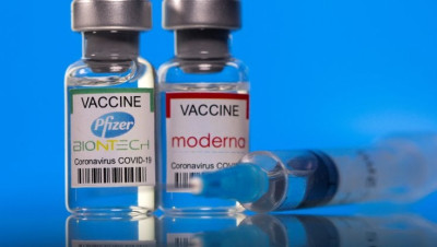 Vaccini, l’88% dei molfettesi ha fatto almeno una dose