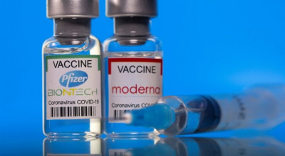 Vaccini, l’88% dei molfettesi ha fatto almeno una dose