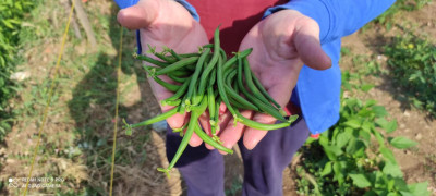 Progetto Colto e mangiato: domani la festa di chiusura