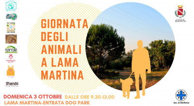 Angolo adozioni, ritratti e fotografie per cani. Giornata degli animali a Lam...