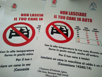 “Non lasciare il tuo cane in auto”. Al via la campagna di sensibi...