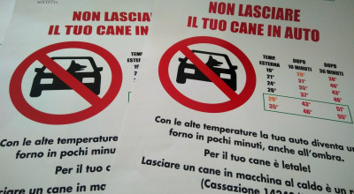 “Non lasciare il tuo cane in auto”. Al via la campagna di sensibi...