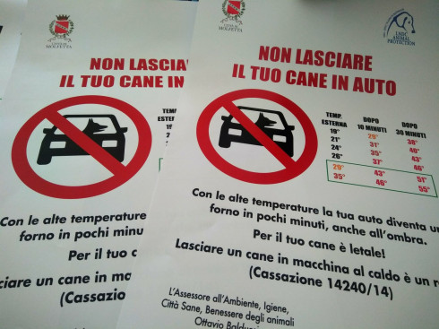 “Non lasciare il tuo cane in auto”. Al via la campagna di sensibilizzazione