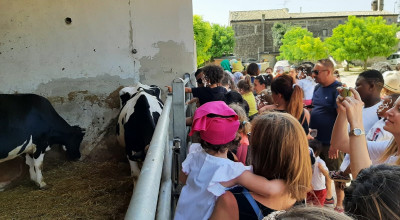 I bimbi del nido comunale alla scoperta della natura