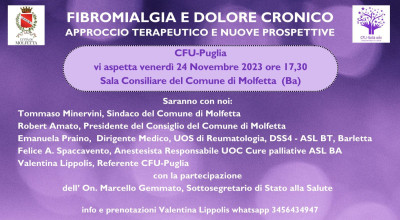 Fibromialgia e dolore cronico. Approccio terapeutico e nuove prospettive. Con...