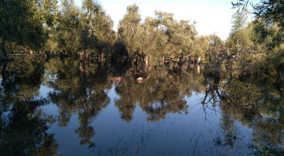 Contrada Manganelli: presto un tavolo per sostenere gli agricoltori danneggiati