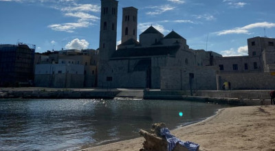 Acque limpide e pesci sotto costa. Il mare a Molfetta respira