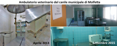 Ambulatorio canile prima dopo Ambulatorio canile prima dopo
