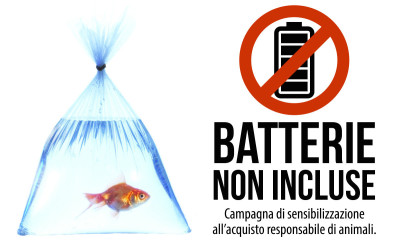 Campagna animali2. Campagna animali2.