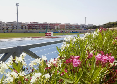 Assoluti di atletica. Park&ride gratuito e modifiche alla circolazione st...