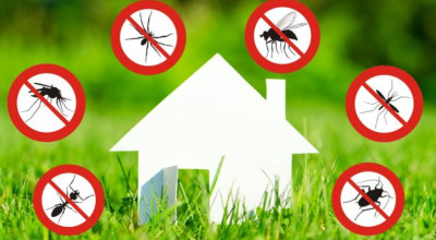 Programma anti larvale e disinfestazione notturna 2024 – Il calendario