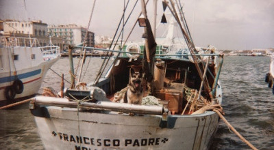 Affondamento Motopesca Francesco padre. Ventotto anni dopo, una ferita aperta