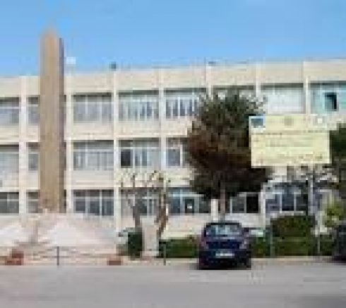 Istituto di istruzione secondaria superiore A. VESPUCCI - Azione Disseminazione Progetto 10.8.1.B2-FESRPON-PU-2018-118