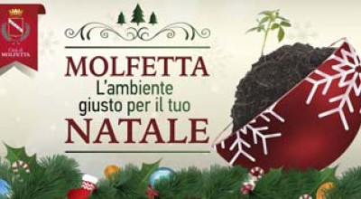 Natale 2014 testata