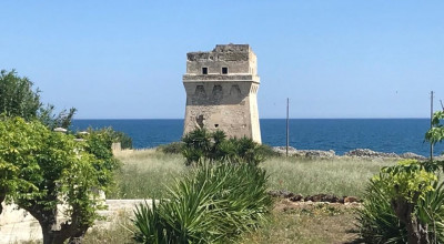 Nuova vita per Torre Calderina