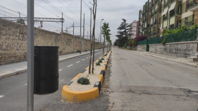 Posizionati nuovi cestini portarifiuti, Minervini: teniamo pulita la nostra c...