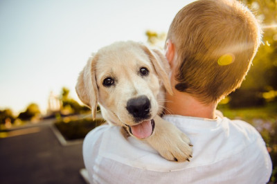 Amare gli animali significa anche rispettare l’ambiente. Appello del Si...