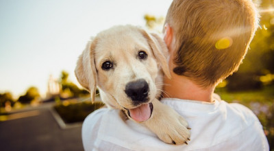 Amare gli animali significa anche rispettare l’ambiente. Appello del Si...