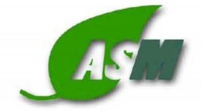 asm