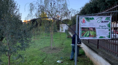 Colto e mangiato: gli anziani insegnano ai giovani a coltivare l’orto