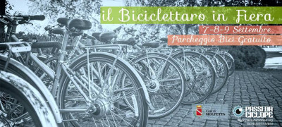 biciclettaro 