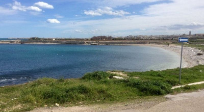 Pinze e bustoni. I ragazzi del Ciofs ripuliscono Cala san Giacomo