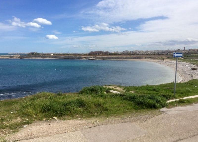 Pinze e bustoni. I ragazzi del Ciofs ripuliscono Cala san Giacomo