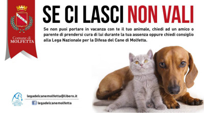 campagna noabbandono3 campagna noabbandono3