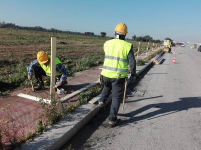 Nuovo mercato settimanale in via Monsignor Bello, parte il cantiere