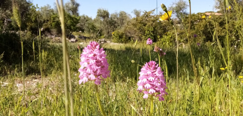 Percorsi escursionistici e orienteering. Lama Martina “apre” al turismo naturalistico. Sabato la prima iniziativa