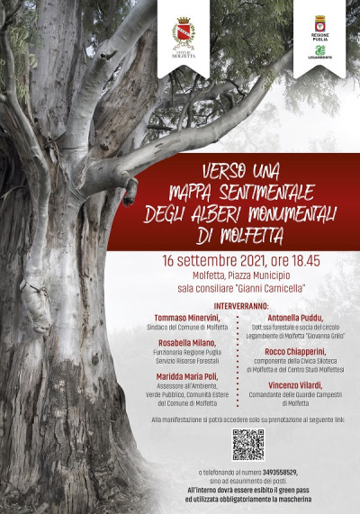 Presentazione mappa sentimentale degli alberi monumentali di Molfetta - Diret...