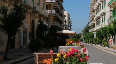 Corso Umberto in fiore. Nessuna nuova pianta. Merito della manutenzione