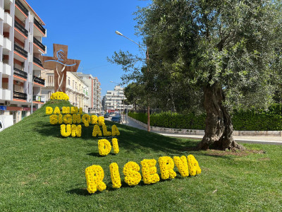 Don Tonino Bello. Trent’anni fa il Dies Natalis. Le iniziative in progr...