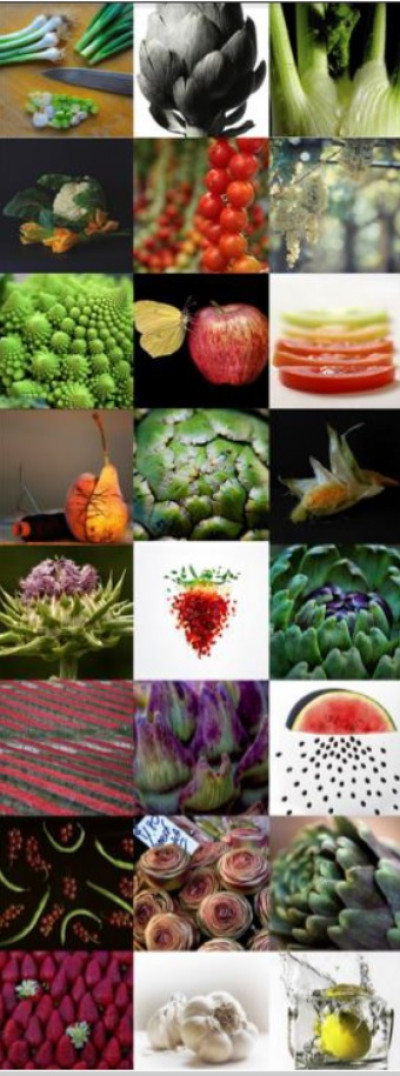 Fruitography - Juicy Shots - Mostra fotografica.- Inaugurazione giovedì...