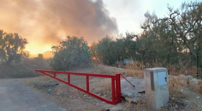 Minervini: “Bombe e incendi, servono più forze dell’ordine...