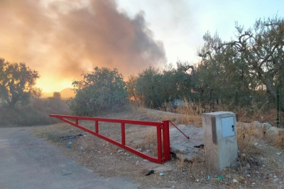 Minervini: “Bombe e incendi, servono più forze dell’ordine...