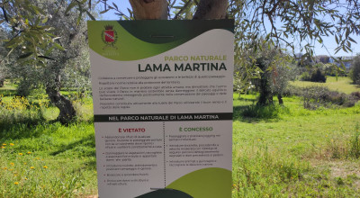 Lama Martina nella Giornata della Terra conquista grandi e piccini. Prossimo ...