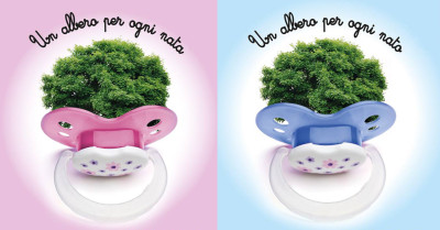 manifesto alberi home manifesto alberi home